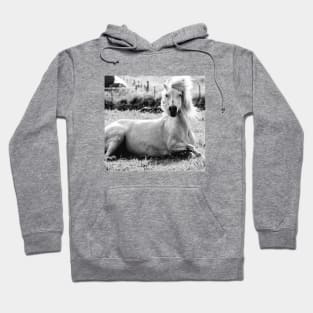 Icelandic Horse Hoodie